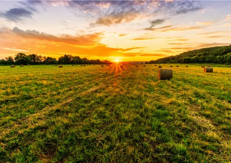 Exemple de Menu - La Terre